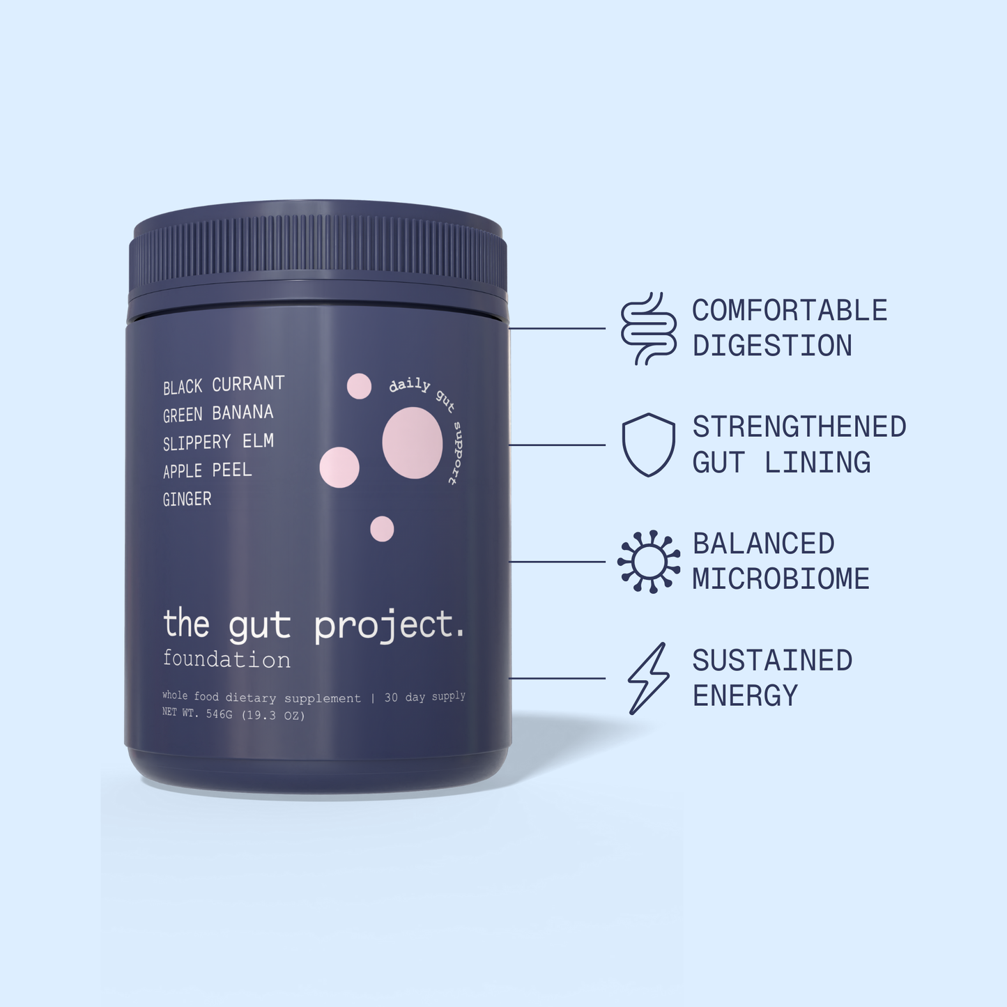 Foundation – Gut Repair & Support