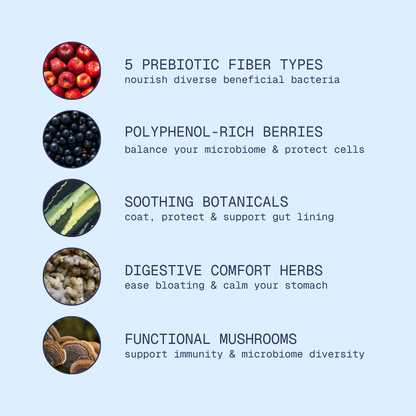 Foundation – Gut Repair & Support